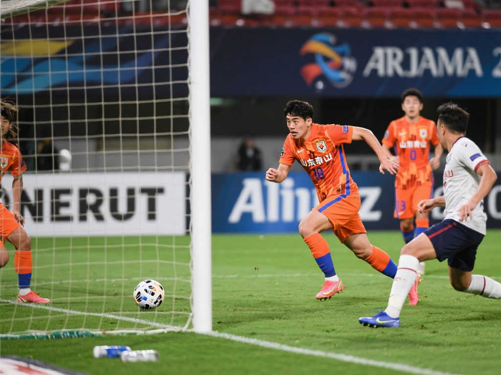 在波尔图的 在波尔图的